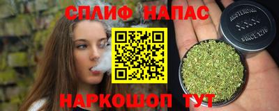 apvp Камышлов