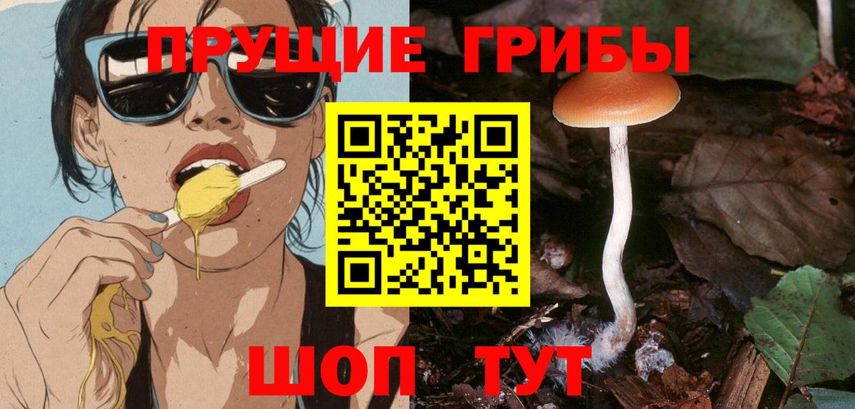 Галлюциногенные грибы GOLDEN TEACHER  Вход с VPN  Пенза 